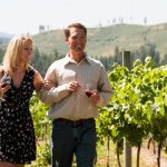 Ultimate Reasons Why You Should Try Going For A Wine Tour - Read Here!