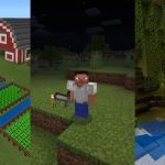 Minecraft Survival Servers