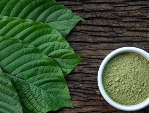 High-Quality Kratom Strains