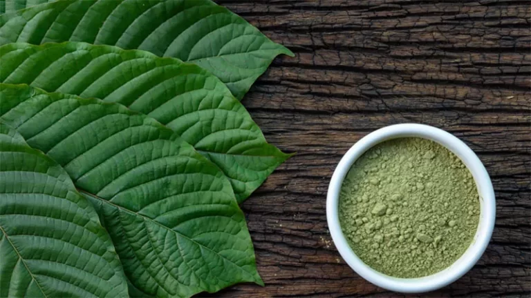 High-Quality Kratom Strains